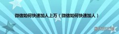 微信如何快速加人 微信如何快速加人上万