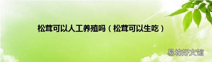 松茸可以生吃 松茸可以人工养殖吗