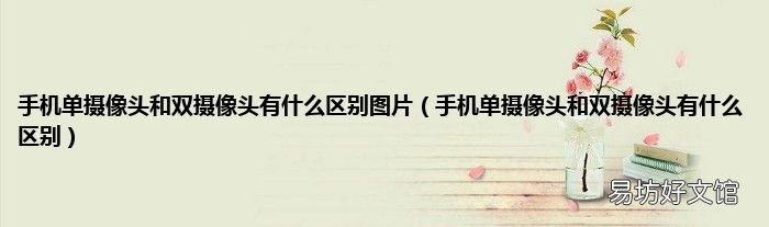 手机单摄像头和双摄像头有什么区别 手机单摄像头和双摄像头有什么区别图片
