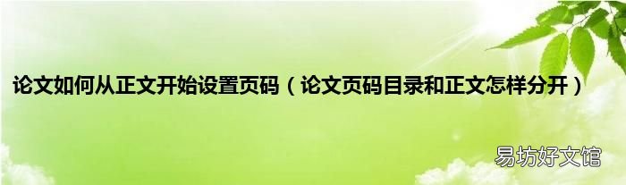 论文页码目录和正文怎样分开 论文如何从正文开始设置页码