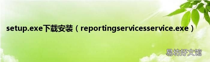 reportingservicesservice.exe setup.exe下载安装