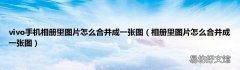 相册里图片怎么合并成一张图 vivo手机相册里图片怎么合并成一张图