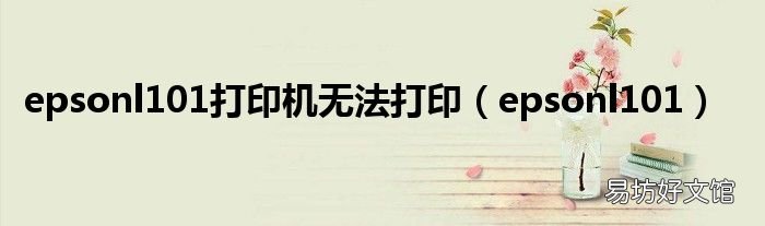 epsonl101 epsonl101打印机无法打印