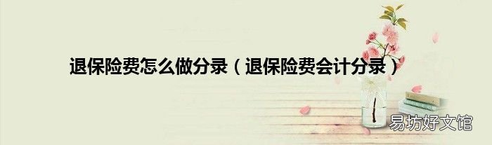 退保险费会计分录 退保险费怎么做分录