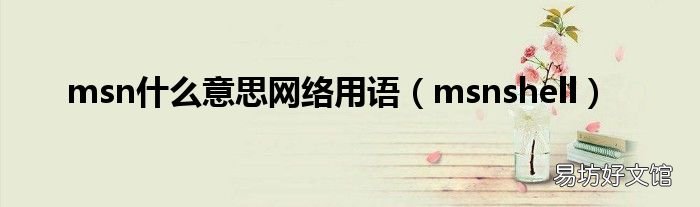 msnshell msn什么意思网络用语