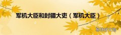 军机大臣 军机大臣和封疆大吏