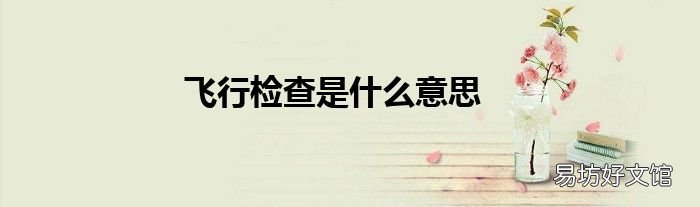 飞行检查是什么意思