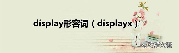 displayx display形容词