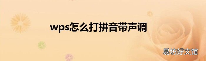 wps怎么打拼音带声调