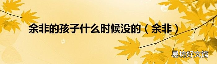 余非 余非的孩子什么时候没的