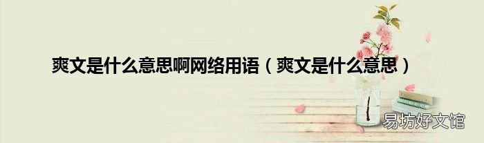 爽文是什么意思 爽文是什么意思啊网络用语