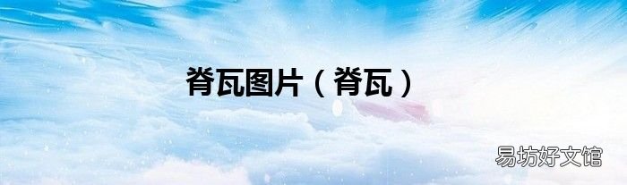 脊瓦 脊瓦图片