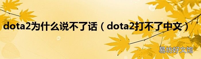 dota2打不了中文 dota2为什么说不了话