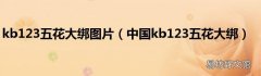 中国kb123五花大绑 kb123五花大绑图片
