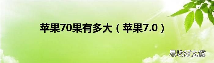 苹果7.0 苹果70果有多大