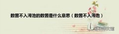 数罟不入洿池 数罟不入洿池的数罟是什么意思