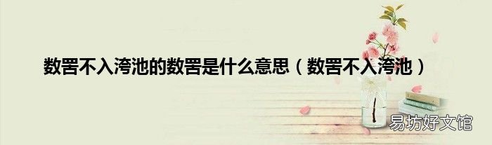 数罟不入洿池 数罟不入洿池的数罟是什么意思