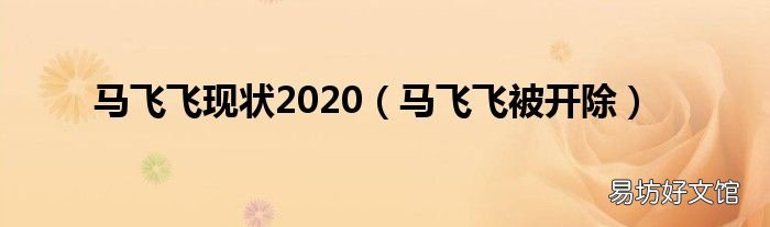 马飞飞被开除 马飞飞现状2020
