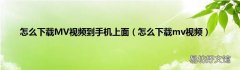 怎么下载mv视频 怎么下载MV视频到手机上面