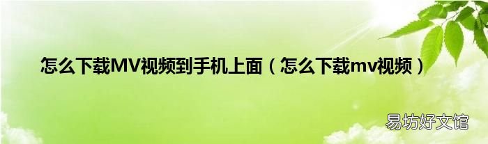 怎么下载mv视频 怎么下载MV视频到手机上面