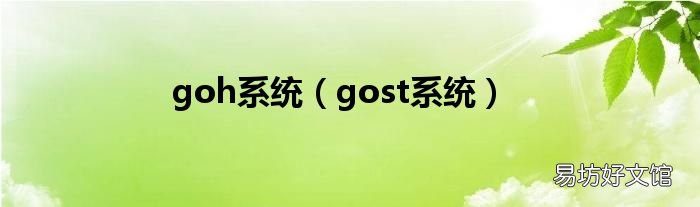 gost系统 goh系统