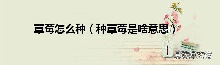 种草莓是啥意思 草莓怎么种