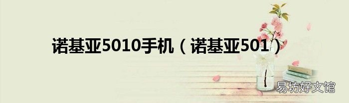 诺基亚501 诺基亚5010手机