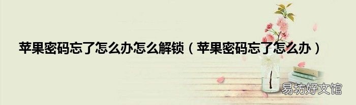 苹果密码忘了怎么办 苹果密码忘了怎么办怎么解锁