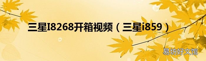 三星i859 三星I8268开箱视频