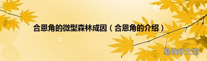 合恩角的介绍 合恩角的微型森林成因