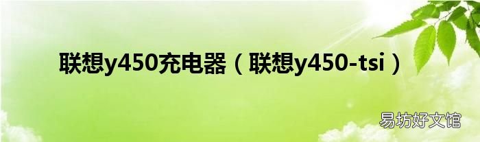 联想y450-tsi 联想y450充电器