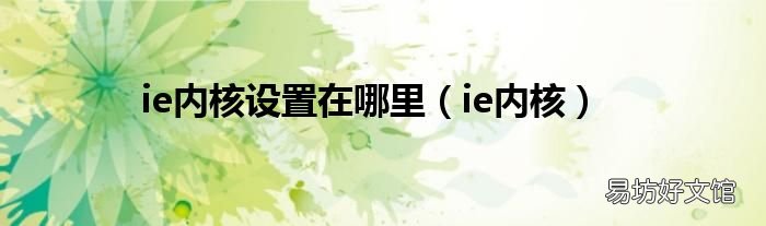 ie内核 ie内核设置在哪里