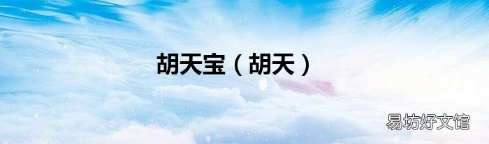 胡天 胡天宝