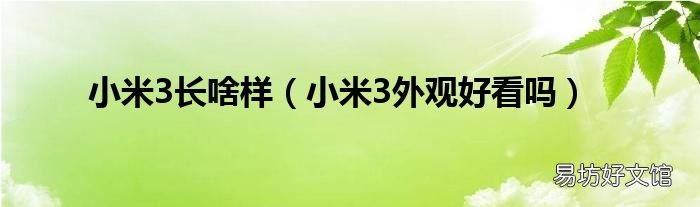 小米3外观好看吗 小米3长啥样