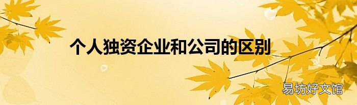个人独资企业和公司的区别
