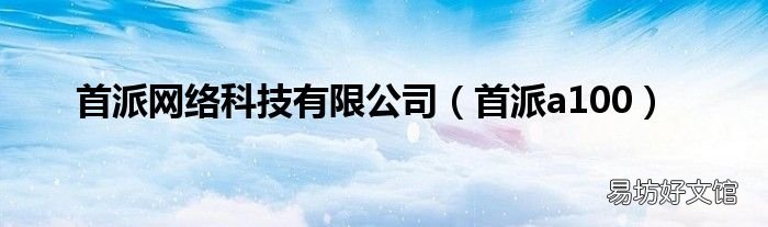 首派a100 首派网络科技有限公司