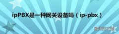 ip-pbx ipPBX是一种网关设备吗
