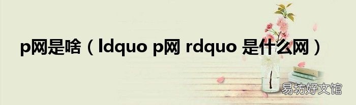 ldquo p網 rdquo 是什么網 p網是啥