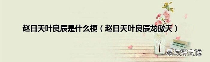 赵日天叶良辰龙傲天 赵日天叶良辰是什么梗