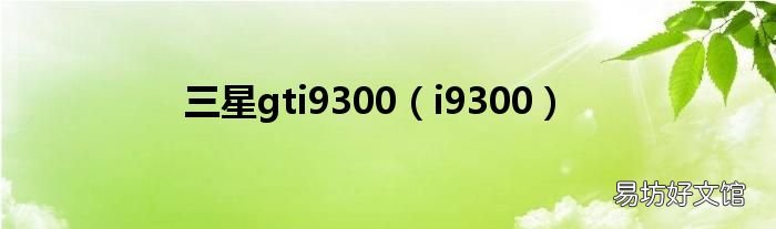 i9300 三星gti9300
