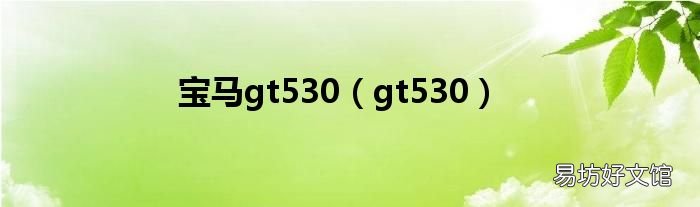 gt530 宝马gt530