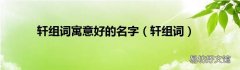 轩组词 轩组词寓意好的名字