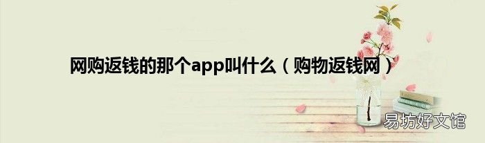 购物返钱网 网购返钱的那个app叫什么