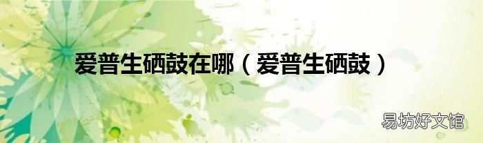 爱普生硒鼓 爱普生硒鼓在哪