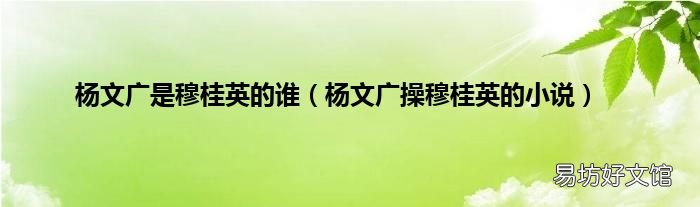 杨文广操穆桂英的小说 杨文广是穆桂英的谁