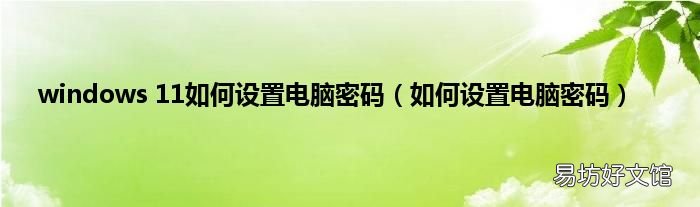 如何设置电脑密码 windows 11如何设置电脑密码