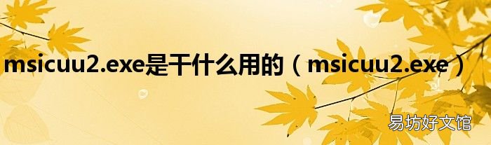 msicuu2.exe msicuu2.exe是干什么用的