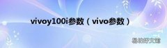 vivo参数 vivoy100i参数
