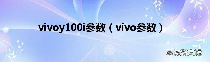 vivo参数 vivoy100i参数