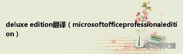 microsoftofficeprofessionaledition deluxe edition翻译